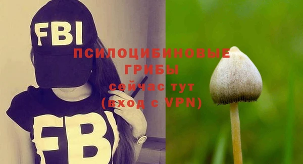 синтетический гашиш Богданович