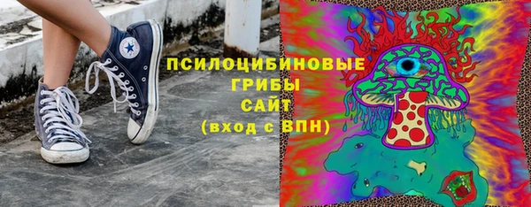 гидропоника Богородицк